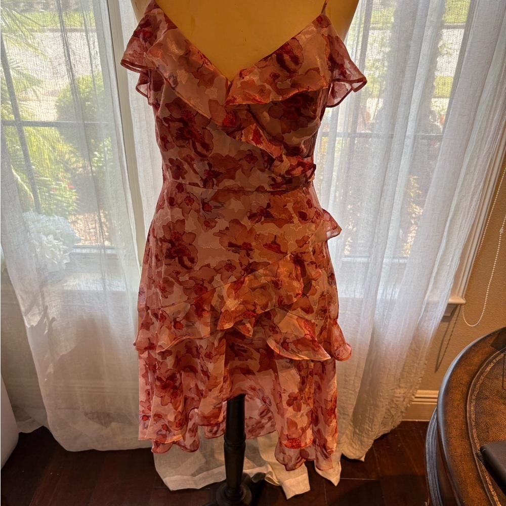 Floral Ruffle Dress - Picture 1 of 5